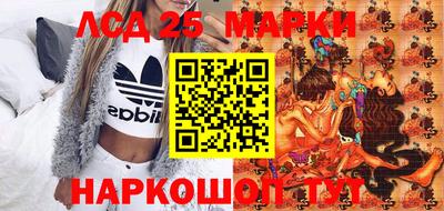 сатива Новозыбков