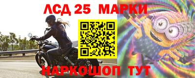 сатива Новозыбков