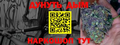 сатива Новозыбков