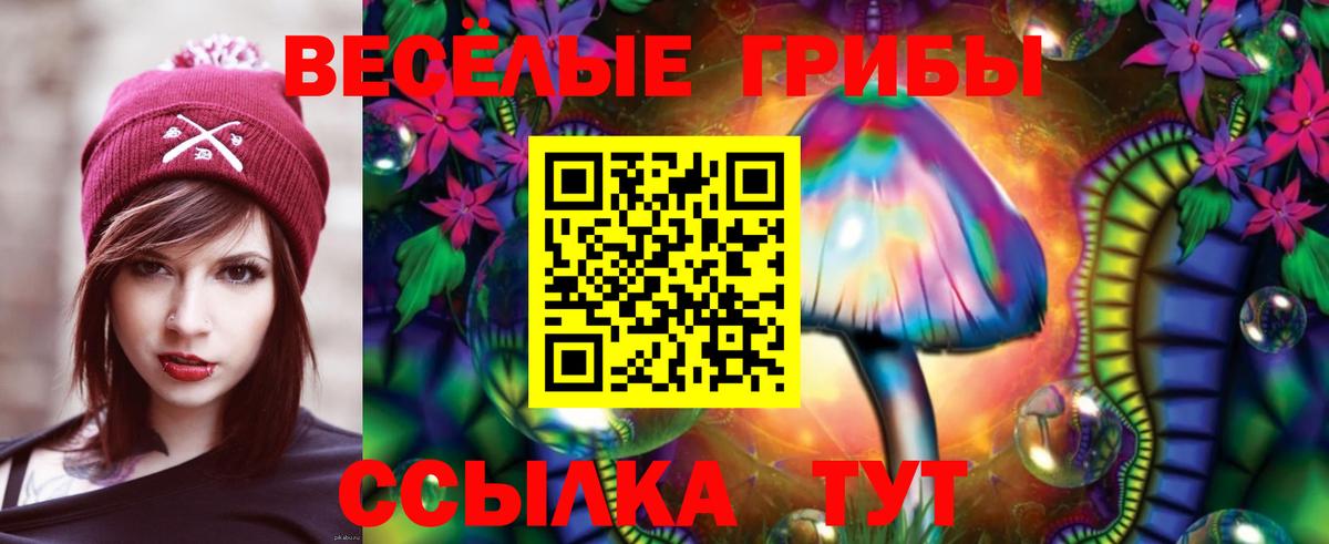 Свободный  Галлюциногенные грибы Psilocybine cubensis  Вход с VPN 