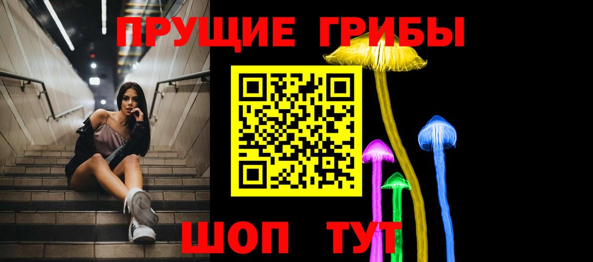 Псилоцибиновые грибы мицелий Свободный