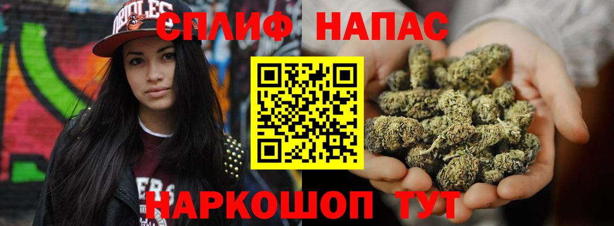 Бошки Шишки сатива  Конопля конопля  Свободный  Вход с VPN  Конопля марихуана 
